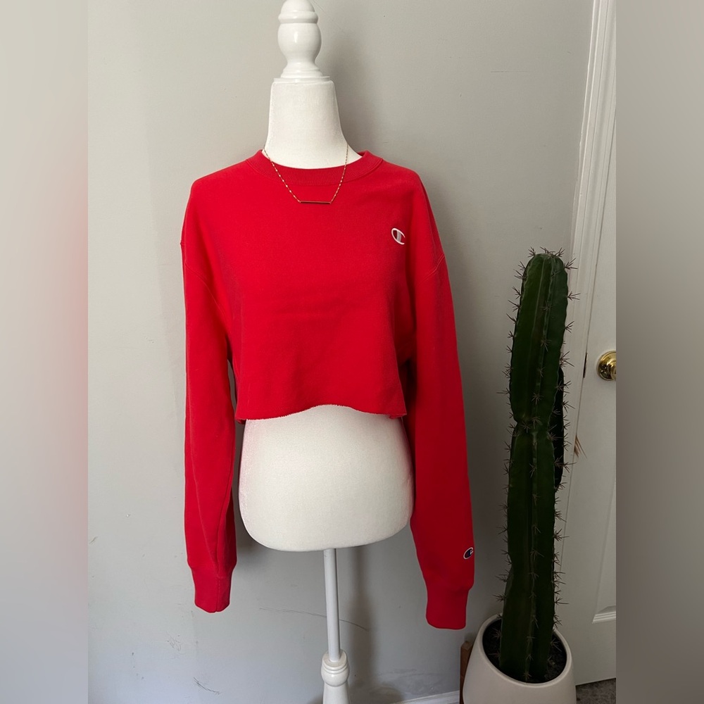 Champion Cropped Pullover